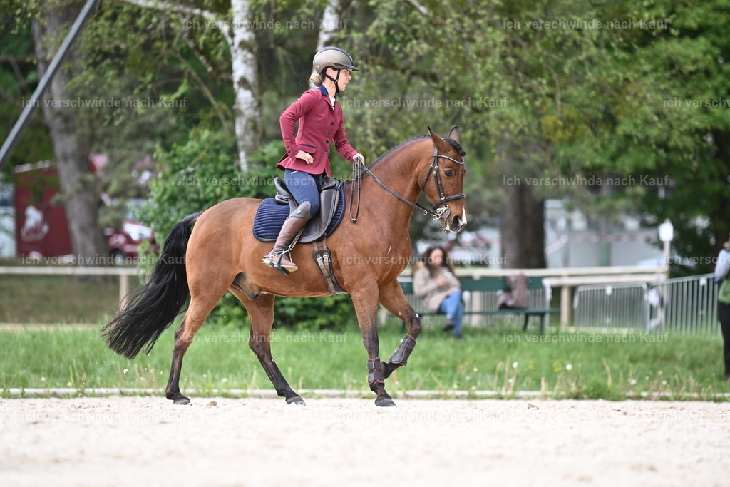 PI26_ST_Sara_Landvogt226_3176.JPG | working equitationturnier fotograf videograf stoibphotography marixx film working equitation deutschland reitsport turnierfotografie eventfotografie equestrian events
