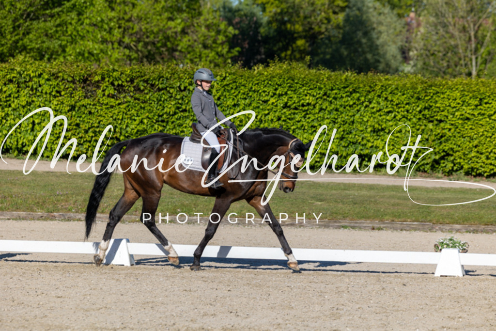7I8A8724 | melanie-engelhardt-photography - Realisiert mit Pictrs.com
