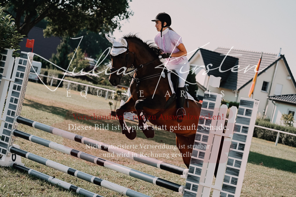 DSC_4797 | Pferde- und Turnierfotografie in Westsachsen. Pferdeportraits, Auftragszeichnungen und intuitive Kunst.