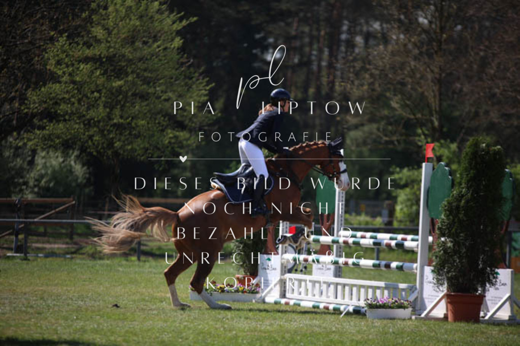 IMGT5616 | pl-fotografie