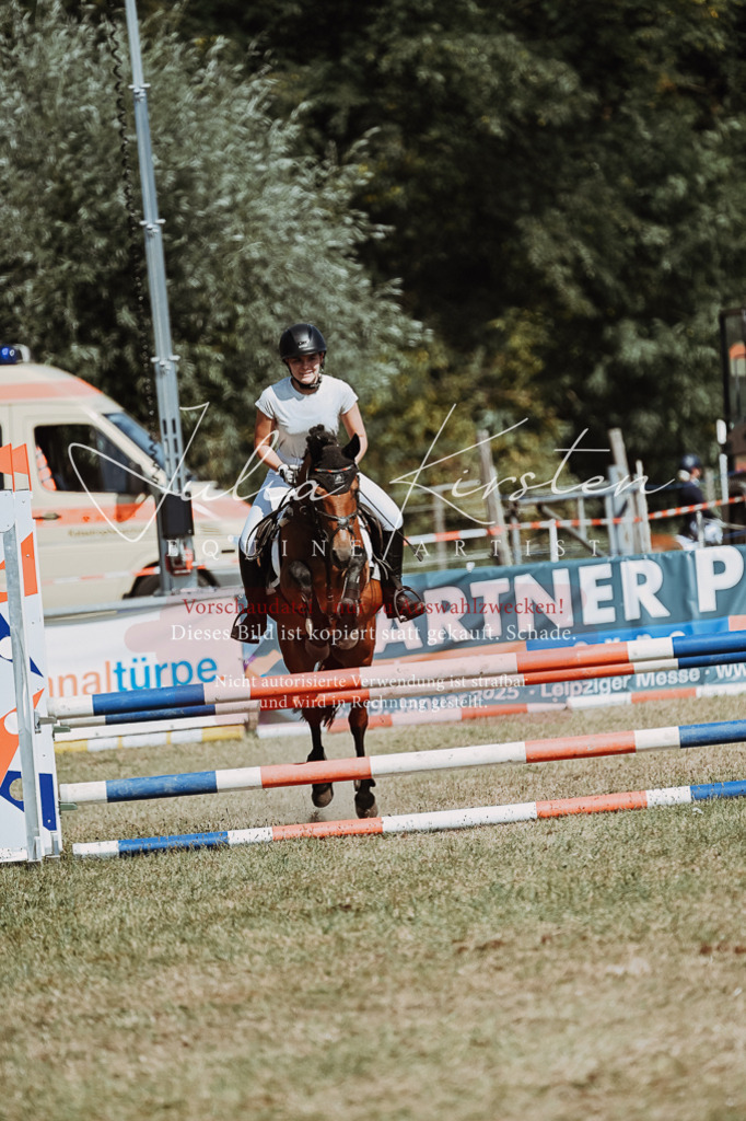DSC_9947 | Pferde- und Turnierfotografie in Westsachsen. Pferdeportraits, Auftragszeichnungen und intuitive Kunst.
