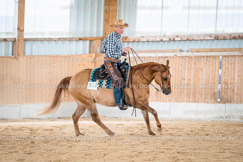 DSC07388 | Pferdegrafie