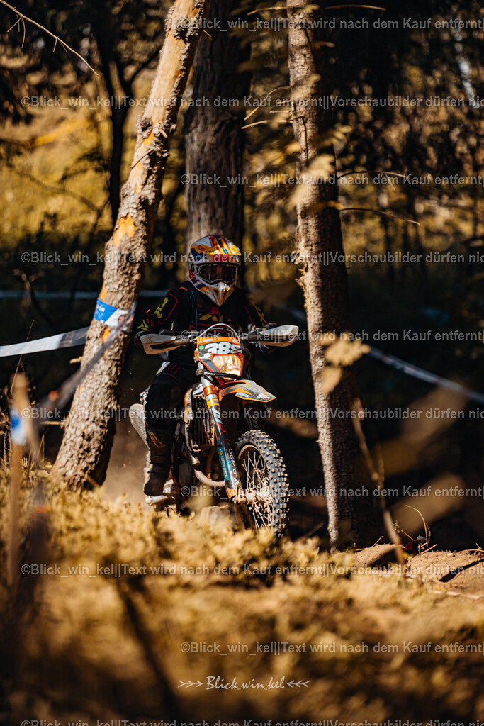 E68A7311 | blick_win_kel