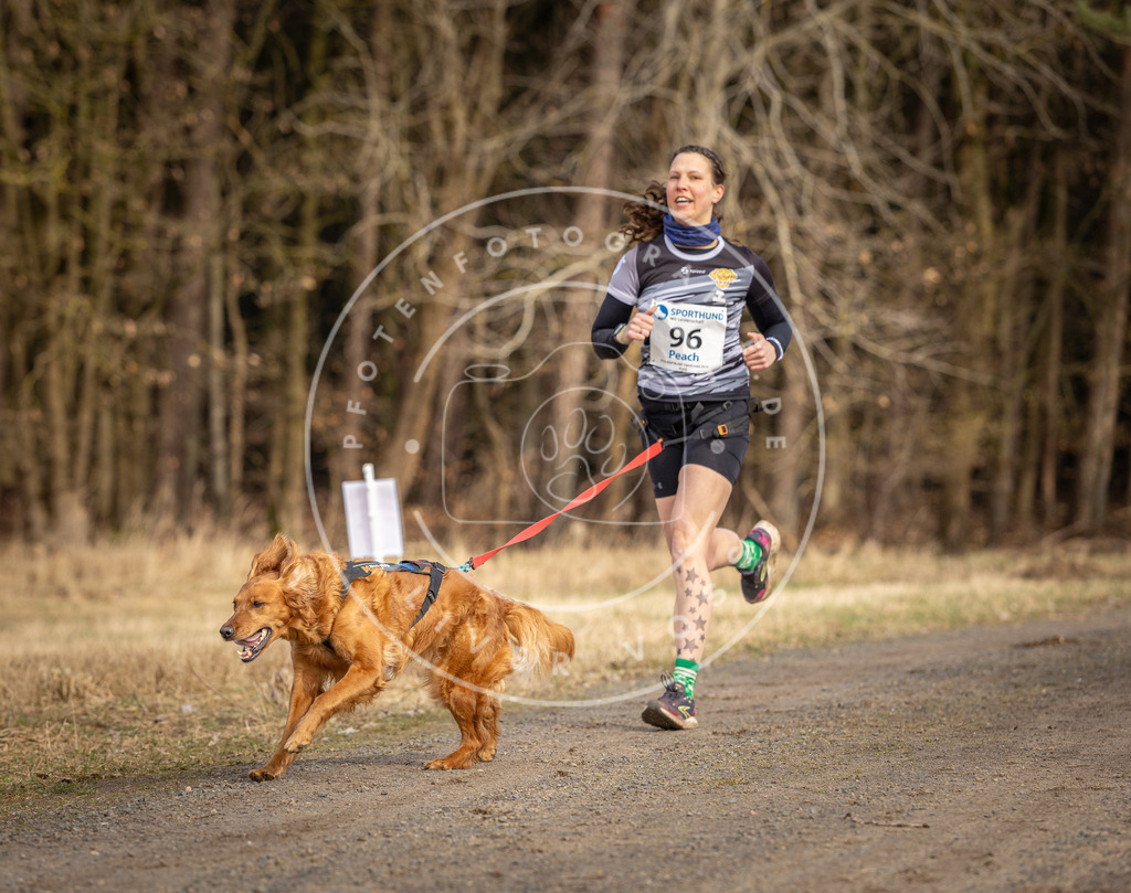 DV3A4096 | Hundefotografie, Tierfotograf, Pfotenfotografie, Fotoshooting Hund, Hunde Portrait, Hundesport, Hundeportraits, Heideshooting, Hunde, Sportfotograf, Hundefotograf, Turnierhundsport, THS,  - Realisiert mit Pictrs.com