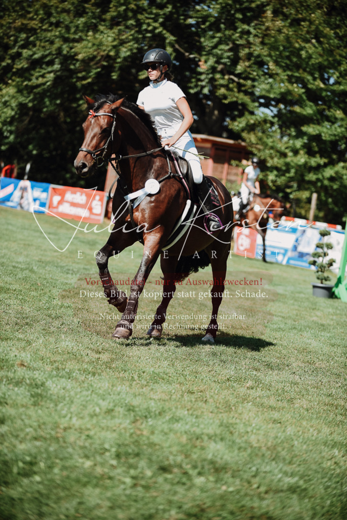 DSC_3371 | Pferde- und Turnierfotografie in Westsachsen. Pferdeportraits, Auftragszeichnungen und intuitive Kunst.
