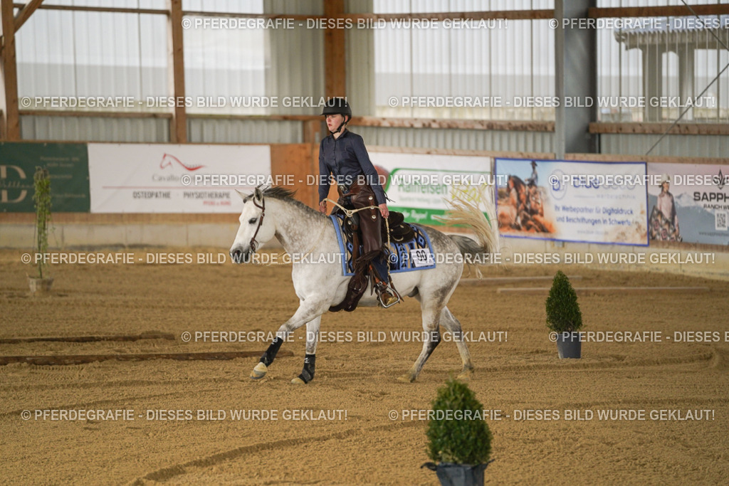 DSC05509 | Pferdegrafie