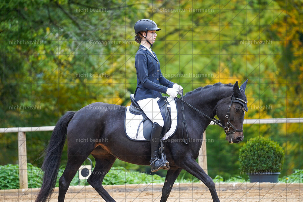 20221008-FAH00922 | Diessen am Ammersee, 2022, Dressur- und Springturnier, Reitsportbilder, Turnierfotografen Bayern, Pferdefotografen, Fotoagentur Herrmann, Turnierbilder