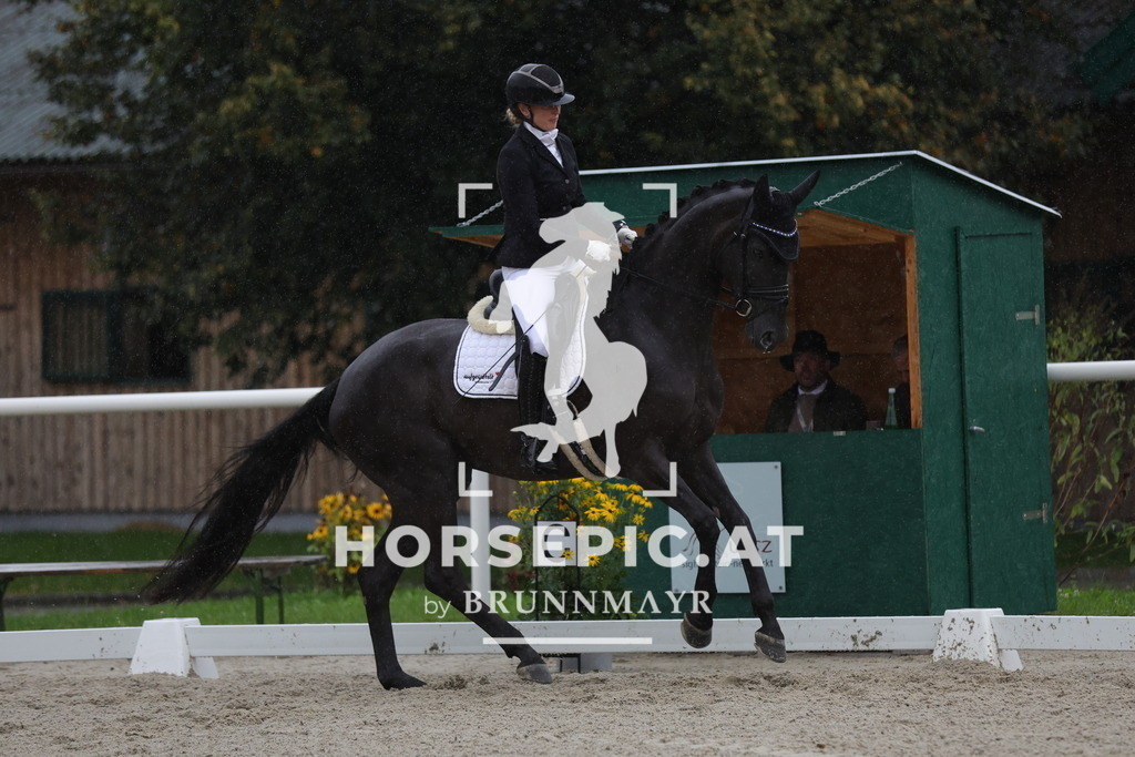 0P6A0464 | Willkommen bei Brunnmayr - Design & Fotografie – Ihrem Spezialisten für Reitturniere und Pferdeveranstaltungen in Oberösterreich, Salzburg und Bayern! Seit über 17 Jahren sind wir leidenschaftlich dabei.