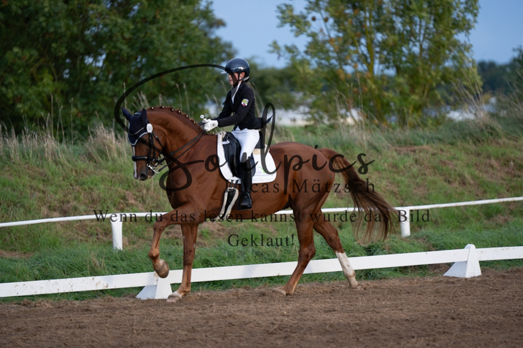 A7V06103 | Pferdefotograf