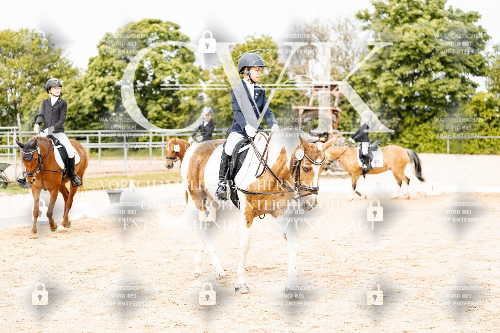CK904518 | Turnierfotografie Pferdefotografie Trier Rheinland-Pfalz Pferdesport Reitsport Tierfotografie Sportfotografie Pferdevideo Pferdevideografie Equestrianvideography equestrianphotography  - Realisiert mit Pictrs.com