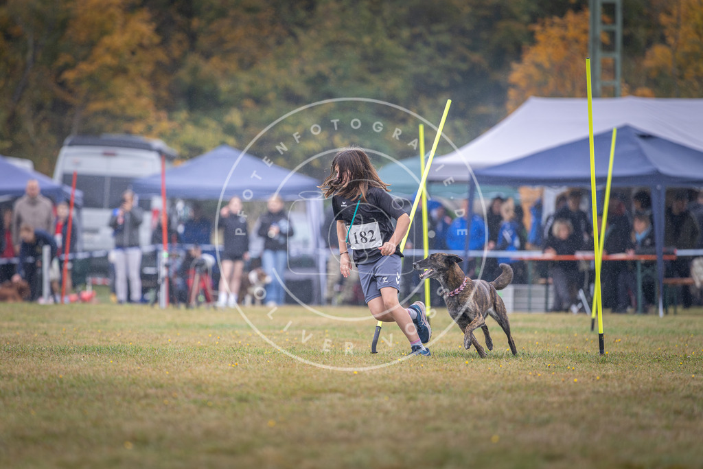 Pfotenfotografie_DV3A9964 | Hundefotografie, Tierfotograf, Pfotenfotografie, Fotoshooting Hund, Hunde Portrait, Hundesport, Hundeportraits, Heideshooting, Hunde, Sportfotograf, Hundefotograf, Turnierhundsport, THS,  - Realisiert mit Pictrs.com