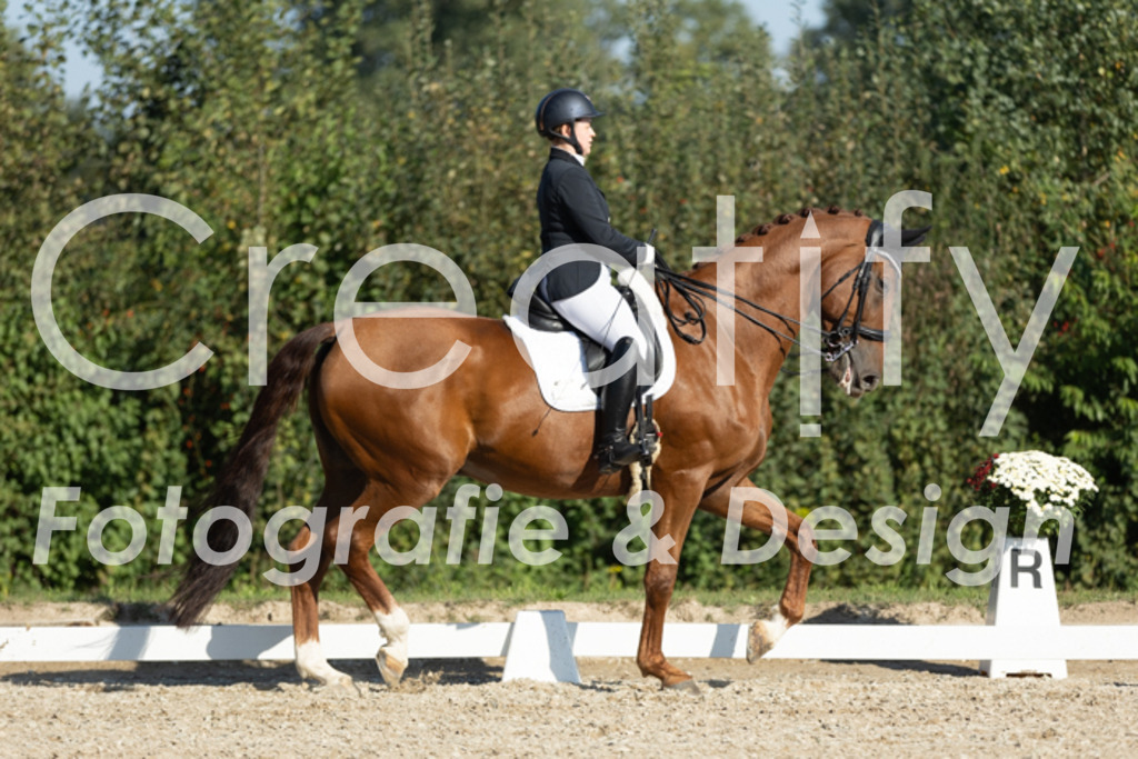 IMG_0600 | Creatify Fotografie