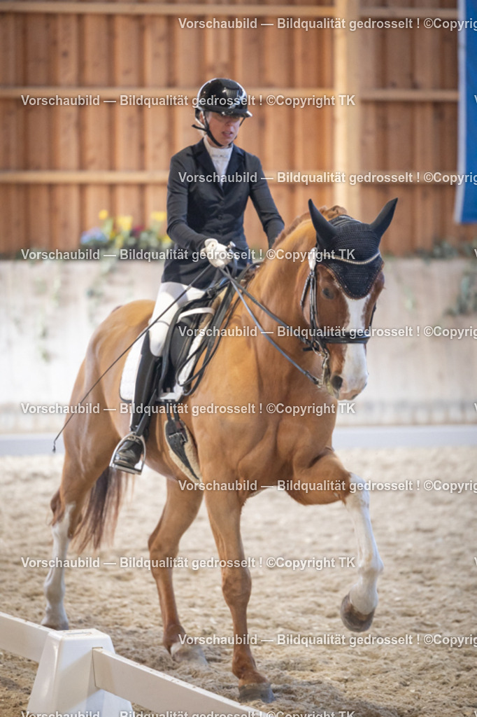 _D5A1810 | Emotionale Pferde- & People-Fotografie rund um Heidelberg, Leimen & Umgebung. Natürliche Fotos von Pferd, Mensch & Familie. Jetzt Termin sichern!