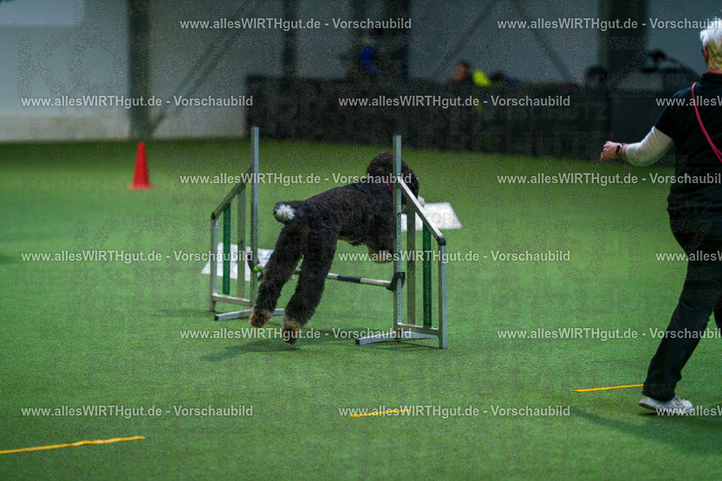 7R502668 | Professionelle Tierfotografie in Mönchengladbach von Daniel Wirth (allesWIRTHgut). Liebevolle & natürliche Bilder von Hunden & Katzen für unvergessliche Erinnerungen.