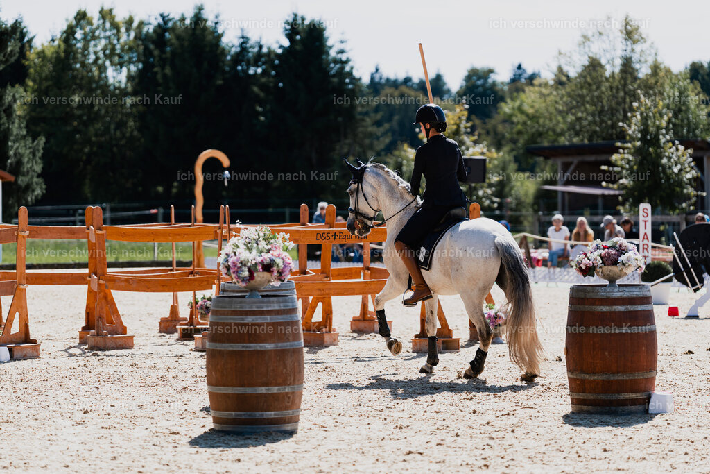Svea13FHC2025-08716 | working equitationturnier fotograf videograf stoibphotography marixx film working equitation deutschland reitsport turnierfotografie eventfotografie equestrian events