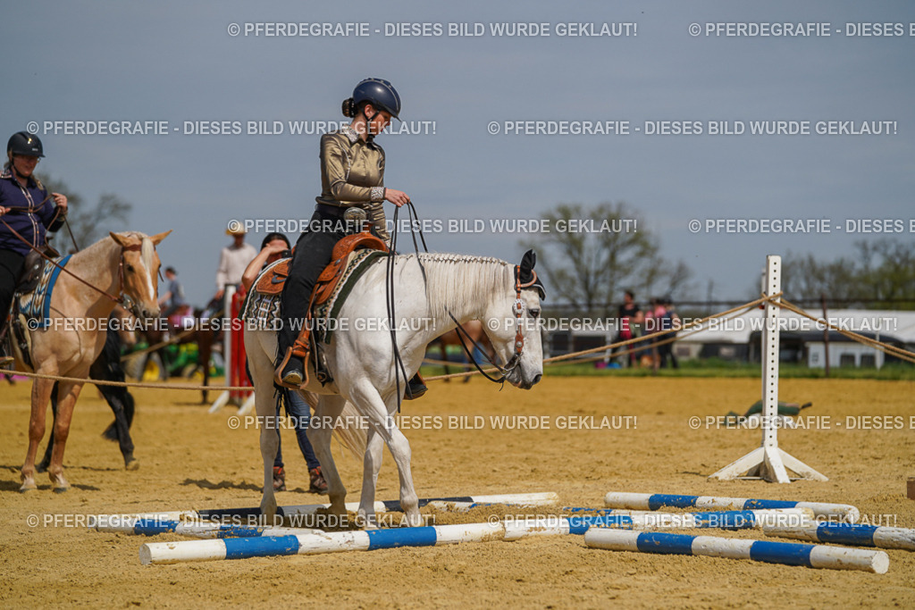 DSC04694 | Pferdegrafie