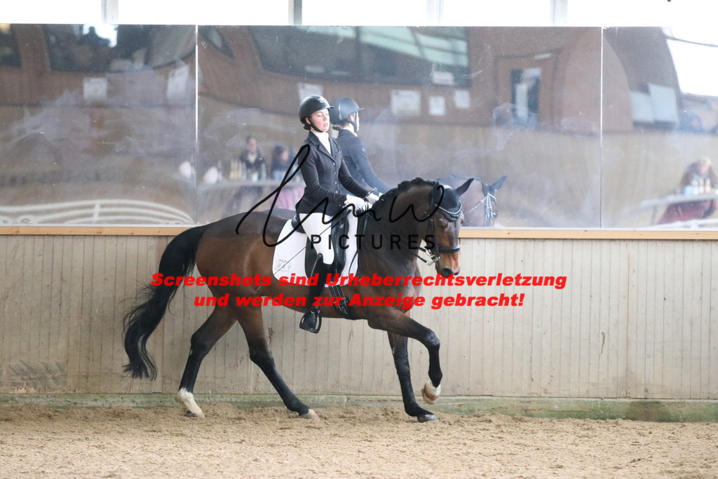 IMG_9960 | lmwpictures - Realisiert mit Pictrs.com