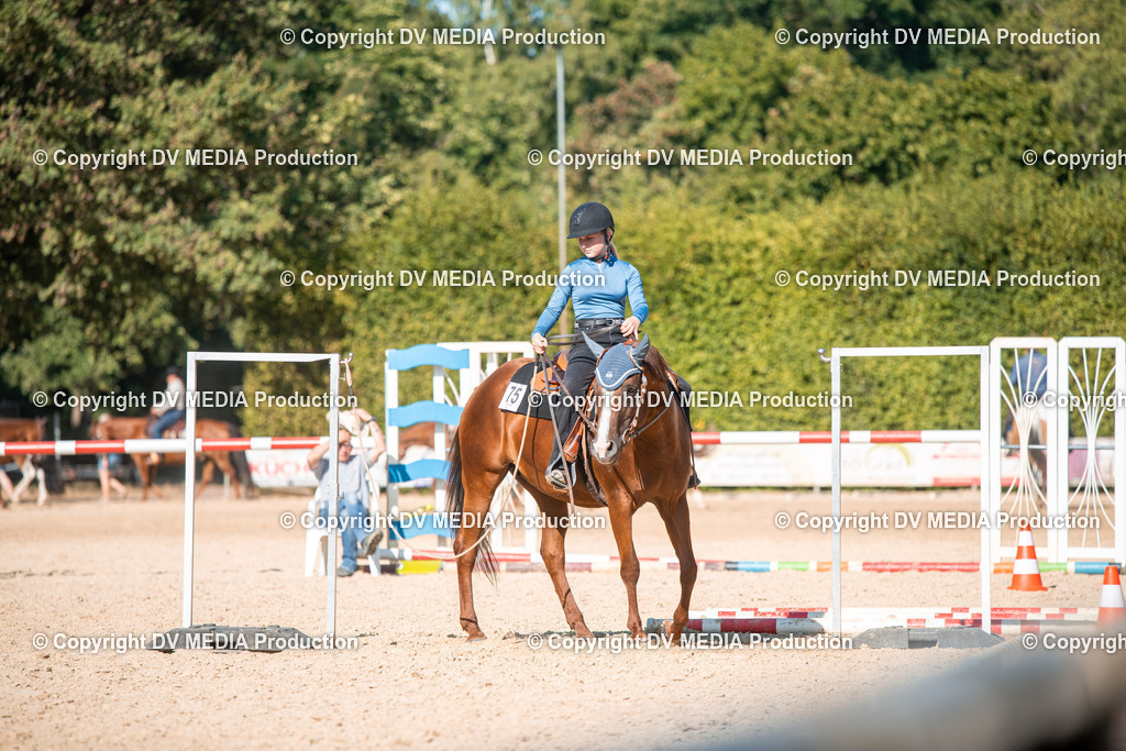 EWP_6997 | dv-media-shop - Realisiert mit Pictrs.com