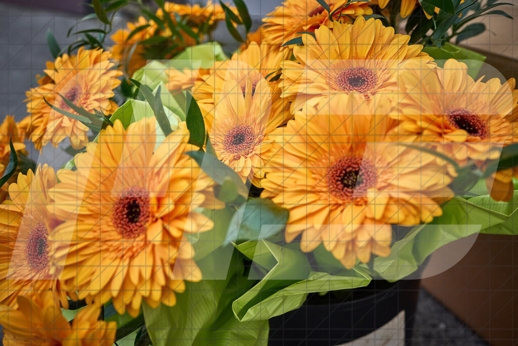 33. KTM Kamptal Trophy | 30.03.2025: 33. KTM Kamptal Trophy in Zöbing, Niederösterreich, ÖsterreichFoto: © 2025 Martin Bihounek / martinbihounek.comInsta: @martinbihounekcomFB: @martinbihounekphotography