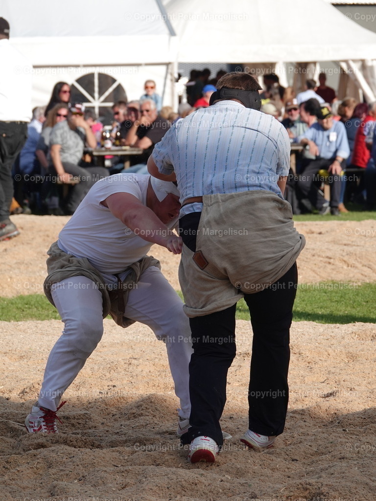 DSC05628 | Schwingen - Realisiert mit Pictrs.com