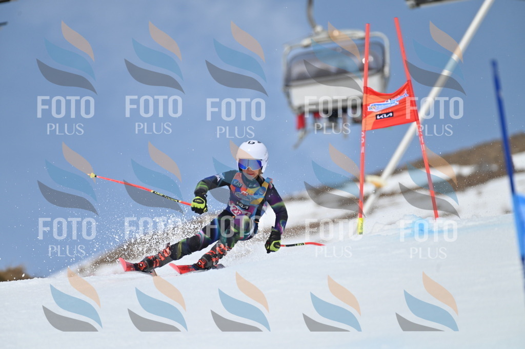 BGV_2476 | holidayphoto