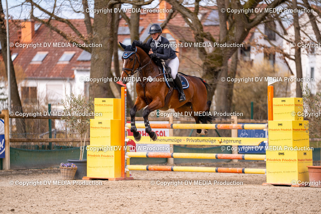 Kranichstein Tag 2-507 | dv-media-shop - Realisiert mit Pictrs.com