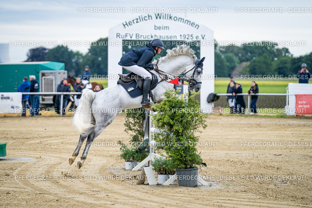 DSC04380 | Pferdegrafie