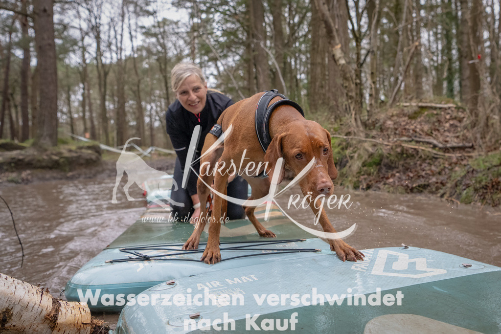 1145_ZZ94621-Bearbeitet | kk-dogfotos