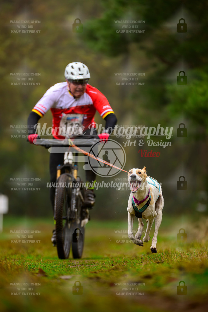 MompixPhotography_Bischwiller2025_Bike-92 | mompixphotography
