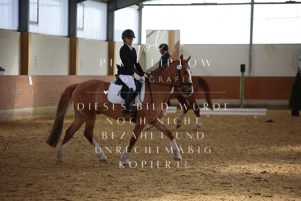 IMGT3907 | pl-fotografie