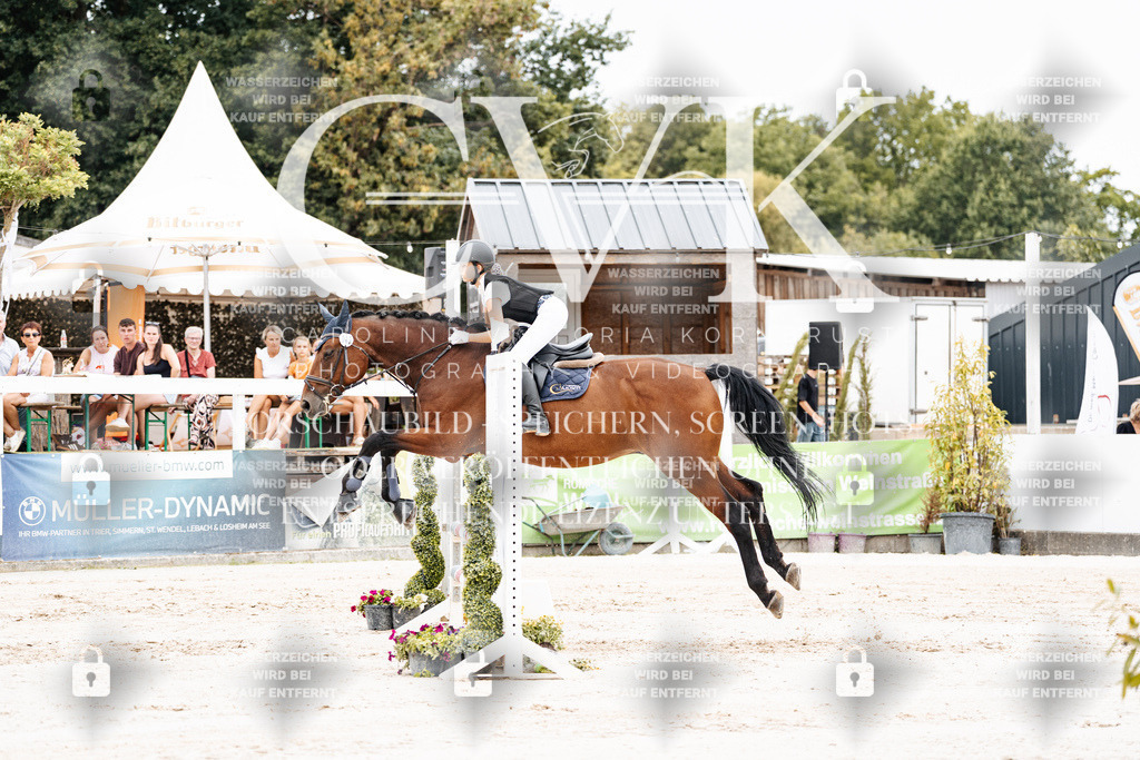 CK907993 | Turnierfotografie Pferdefotografie Trier Rheinland-Pfalz Pferdesport Reitsport Tierfotografie Sportfotografie Pferdevideo Pferdevideografie Equestrianvideography equestrianphotography  - Realisiert mit Pictrs.com