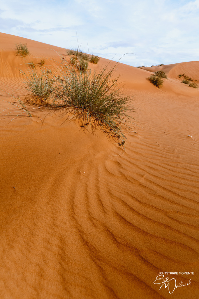 Al Salam Desert Camp, Al Qabil, Bidiyya, Oman | Herzlich willkommen auf meiner Seite! Ich bin Elke Wallnisch, Deine Fotografin für lichtstarke Momente. Der Name steht für alles, was mich mit der Fotografie verbindet: Das Licht und seine machtvolle Wirkung auf eine Situation oder unsere Stimmung - Realisiert mit Pictrs.com