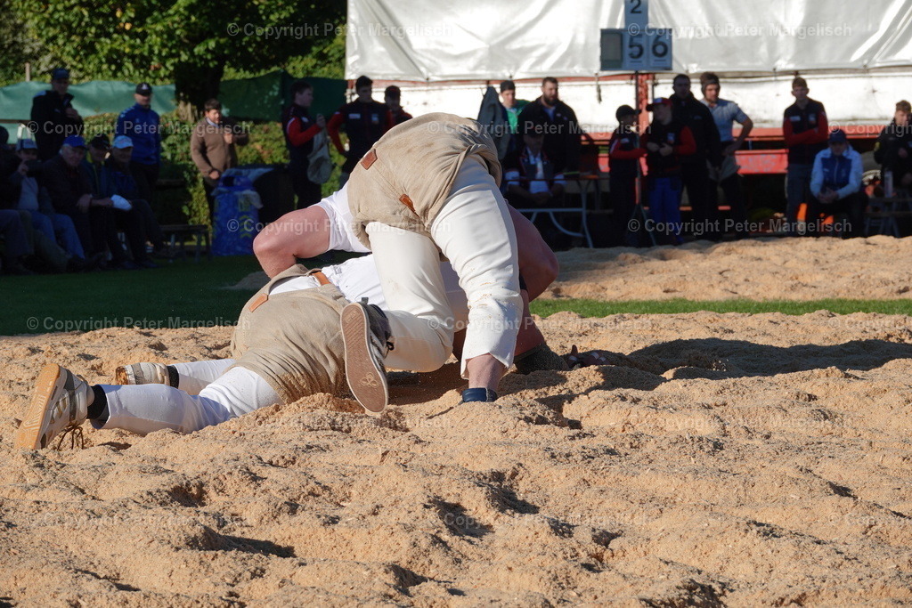 DSC01930 | Schwingen - Realisiert mit Pictrs.com