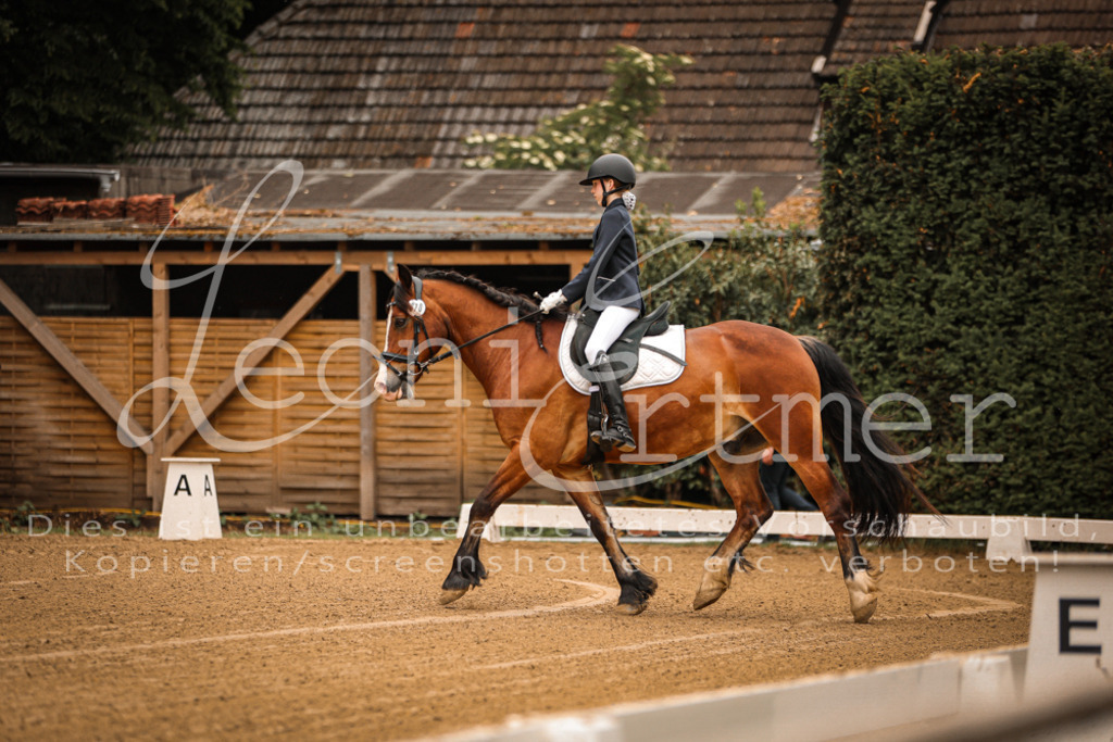 DoDrE00012 | Leoni Ertmer Photography - Realisiert mit Pictrs.com