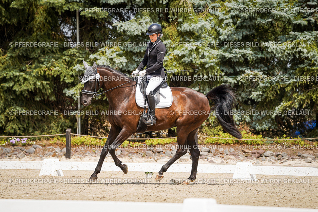 DSC03034 | Pferdegrafie