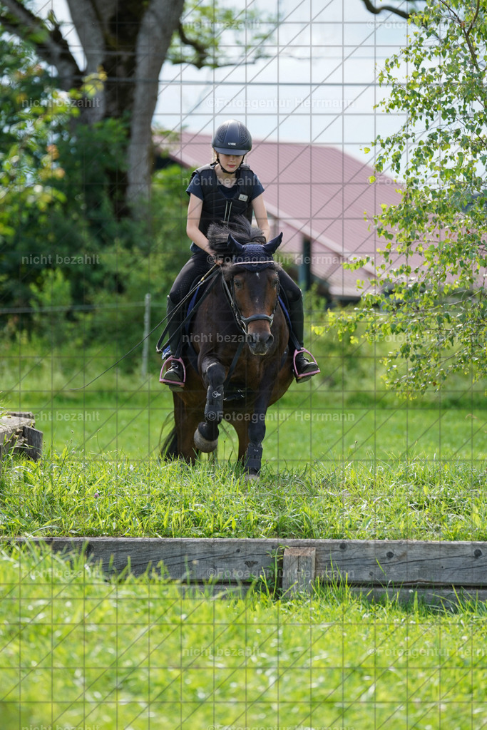 20240622-FAH07996 | Turnierfotografen Bayern, Reitsportbilder aus dem Geländekurs mit Felix Etzel auf dem Gut Waitzacker 2024