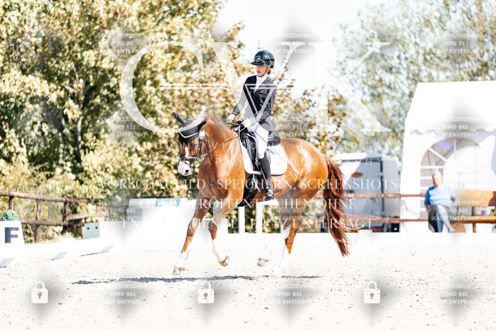 CK904080 | Turnierfotografie Pferdefotografie Trier Rheinland-Pfalz Pferdesport Reitsport Tierfotografie Sportfotografie Pferdevideo Pferdevideografie Equestrianvideography equestrianphotography  - Realisiert mit Pictrs.com