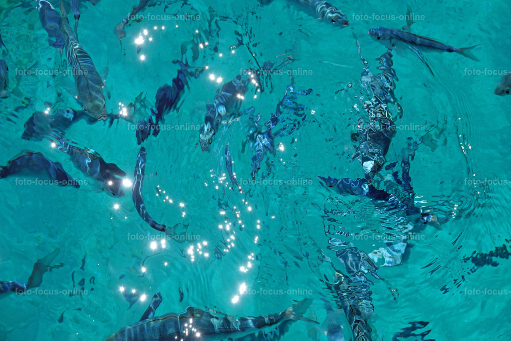 Mediterranean, Greek Islands | foto-focus-online