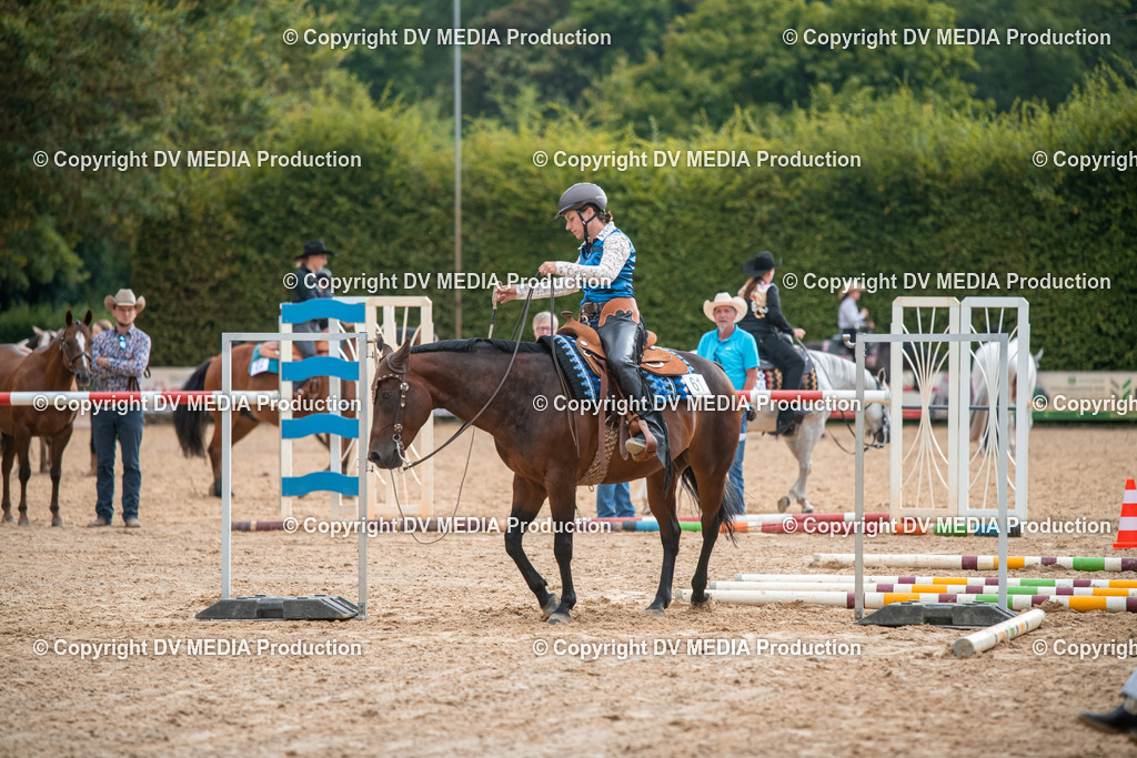 ZS2_7373 | dv-media-shop - Realisiert mit Pictrs.com