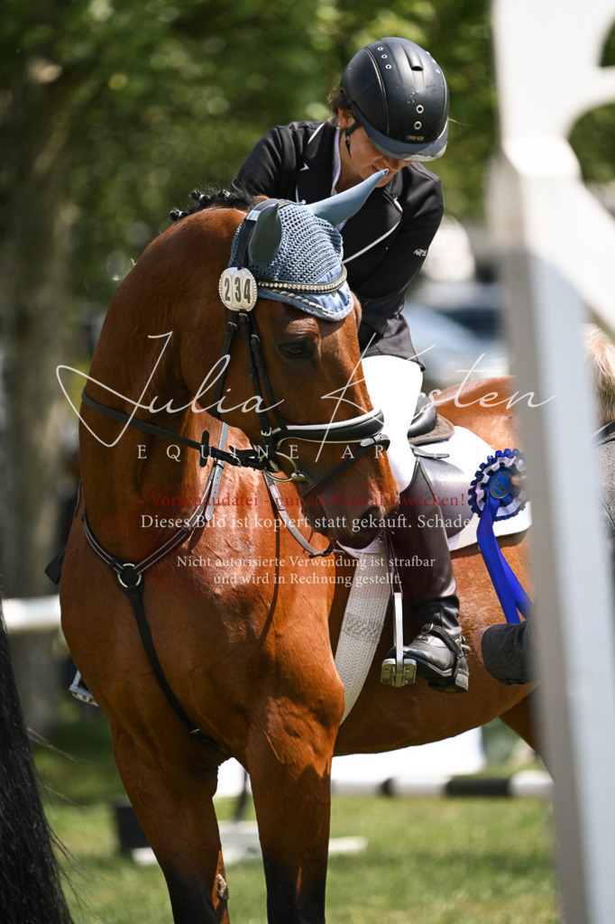 DSC_9180 | Pferde- und Turnierfotografie in Westsachsen. Pferdeportraits, Auftragszeichnungen und intuitive Kunst.