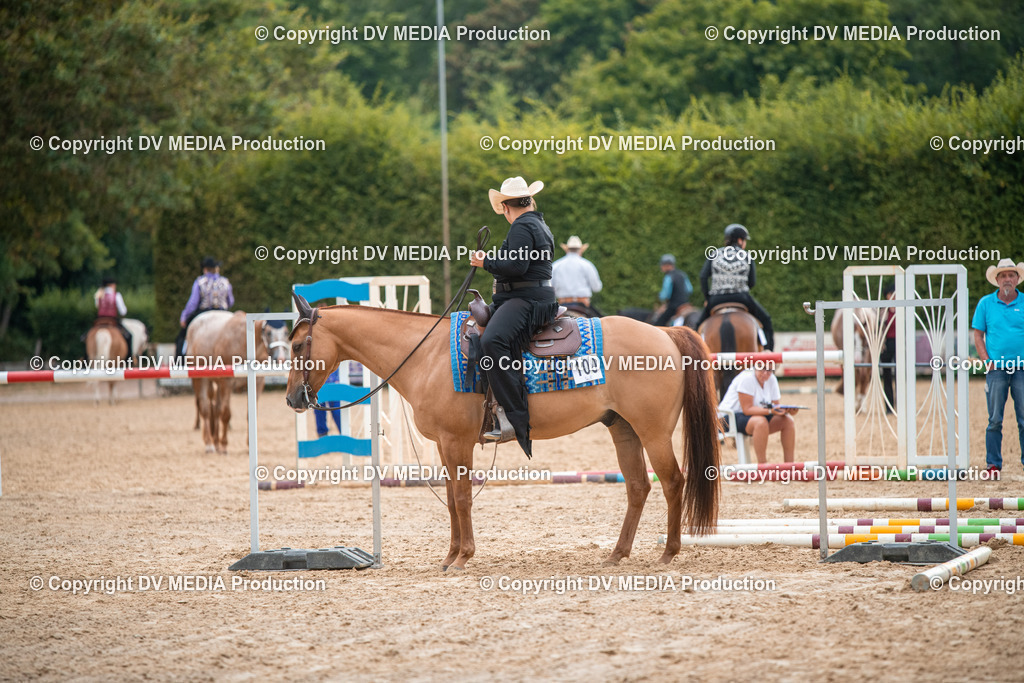 ZS2_7421 | dv-media-shop - Realisiert mit Pictrs.com