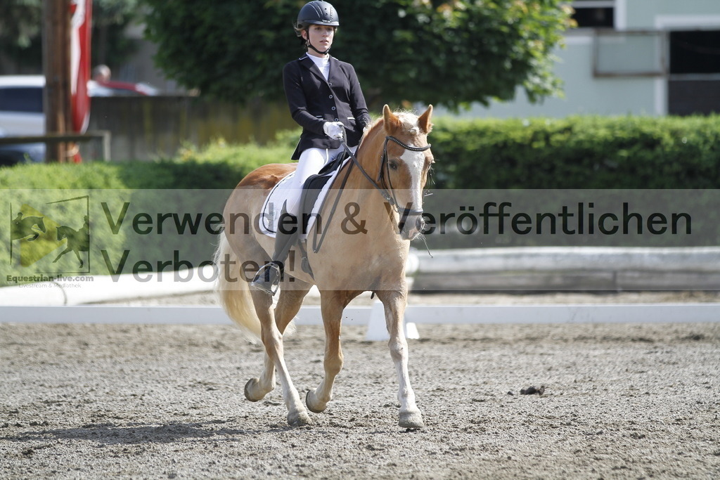 _MG_9520 | equestrian-live-com