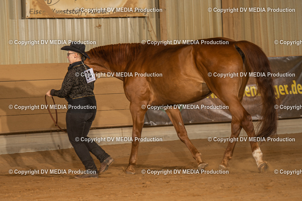 NID02345 | dv-media-shop - Realisiert mit Pictrs.com