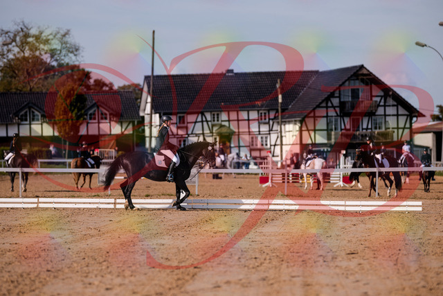 2026_10_03_Siefer-Hof_115453_Z81_94711613 | Professionelle Reitsport-, Turnier- und Eventfotografie von Robert Broda. Galerien mit ausgewählten und bearbeiteten Bildern direkt online ansehen und bestellen.