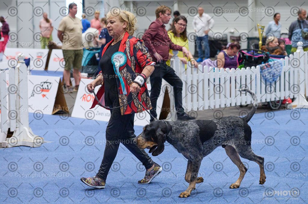 202406_ÖKV-IHA-Tulln24_DSC_3094 | proPHOTO - Realisiert mit Pictrs.com