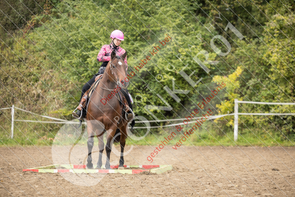 CON_9239 | Sport-, Event- und Tierfotos in Profiqualität. Einfach auswählen, bestellen und herunterladen. Dein Moment – perfekt festgehalten.