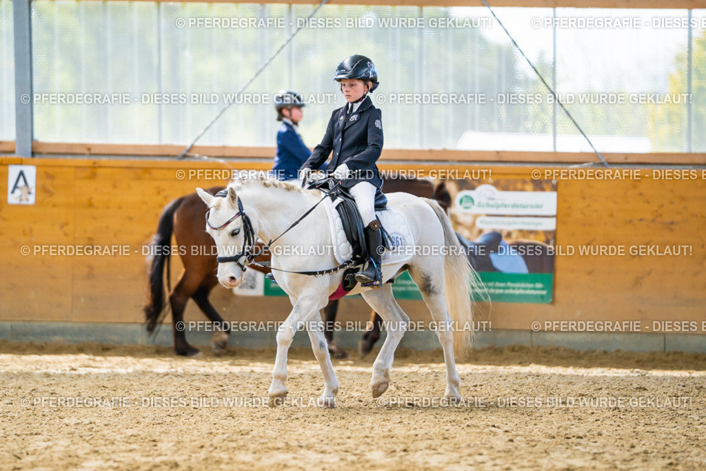 DSC00954 | Pferdegrafie