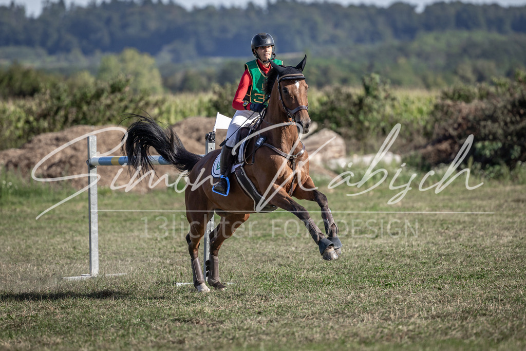 20250907-_3LI3863 | Tierfotografie Pferde, Hunde, Katzen, Haustiere.
Turnierfotografie Reitturniere, Reiten, Springreiten, Dressur in Hanau, dem Main-Kinzig-Kreis und dem Rhein-Main- Gebiet um Frankfurt