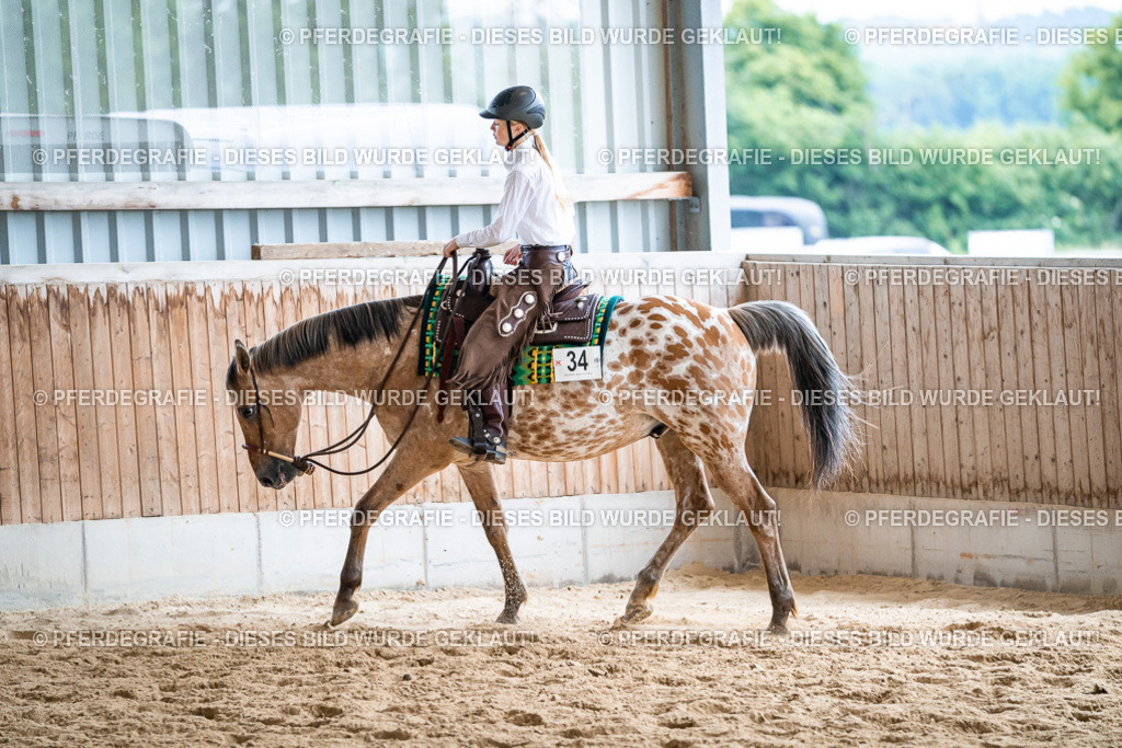 DSC01296 | Pferdegrafie