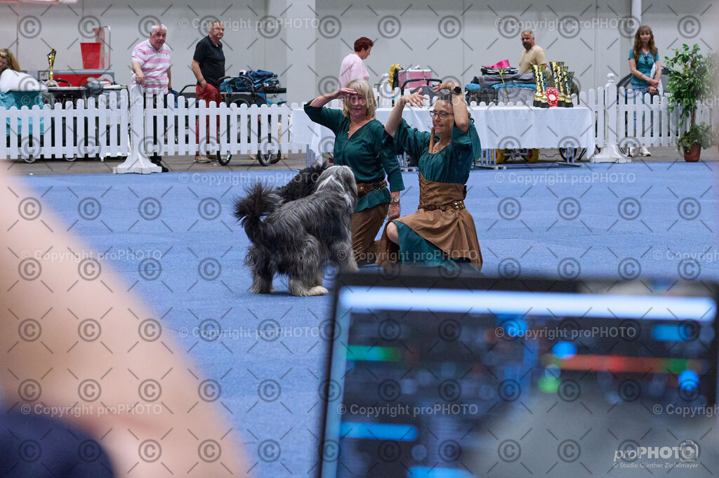 202406_ÖKV-IHA-Tulln24_DSC_3284 | proPHOTO - Realisiert mit Pictrs.com